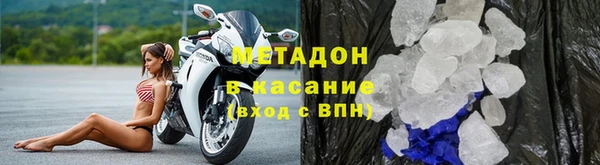 прущие грибы Аркадак