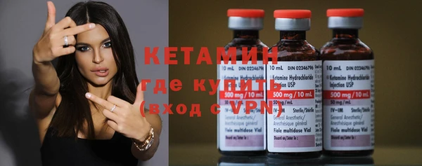 прущие грибы Аркадак