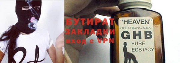 прущие грибы Аркадак