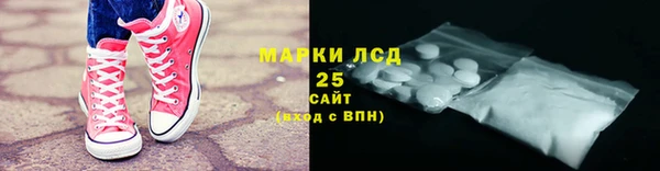 прущие грибы Аркадак