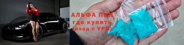 прущие грибы Аркадак