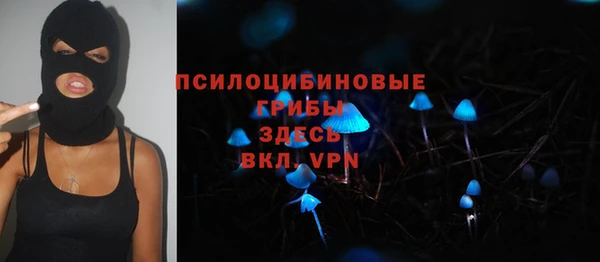 мет Арсеньев