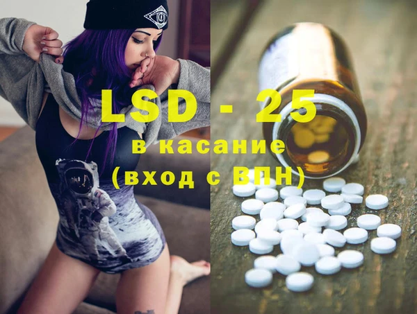 прущие грибы Аркадак