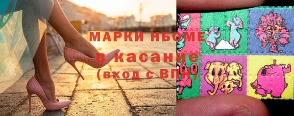 прущие грибы Аркадак