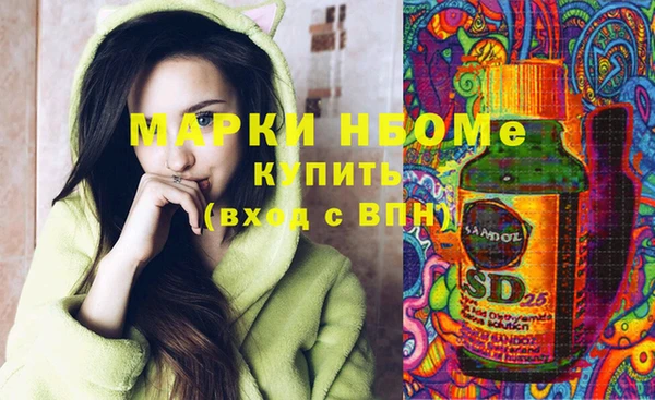 прущие грибы Аркадак
