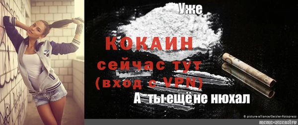 мет Арсеньев