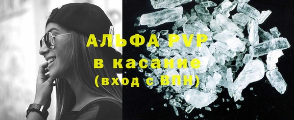 прущие грибы Аркадак