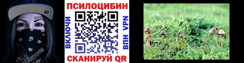 Галлюциногенные грибы Cubensis  купить наркоту  Когалым 