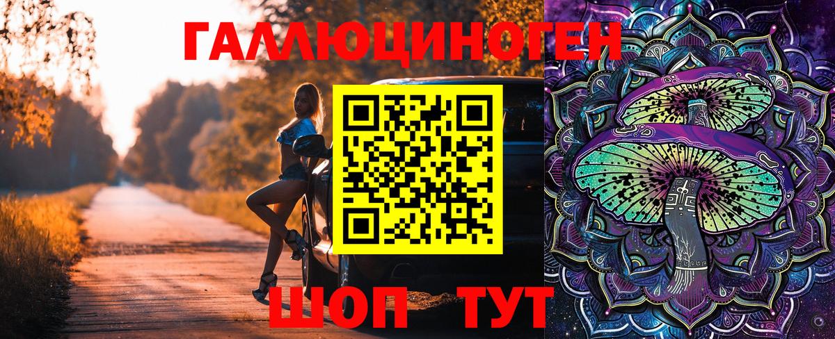 Галлюциногенные грибы Psilocybe Когалым
